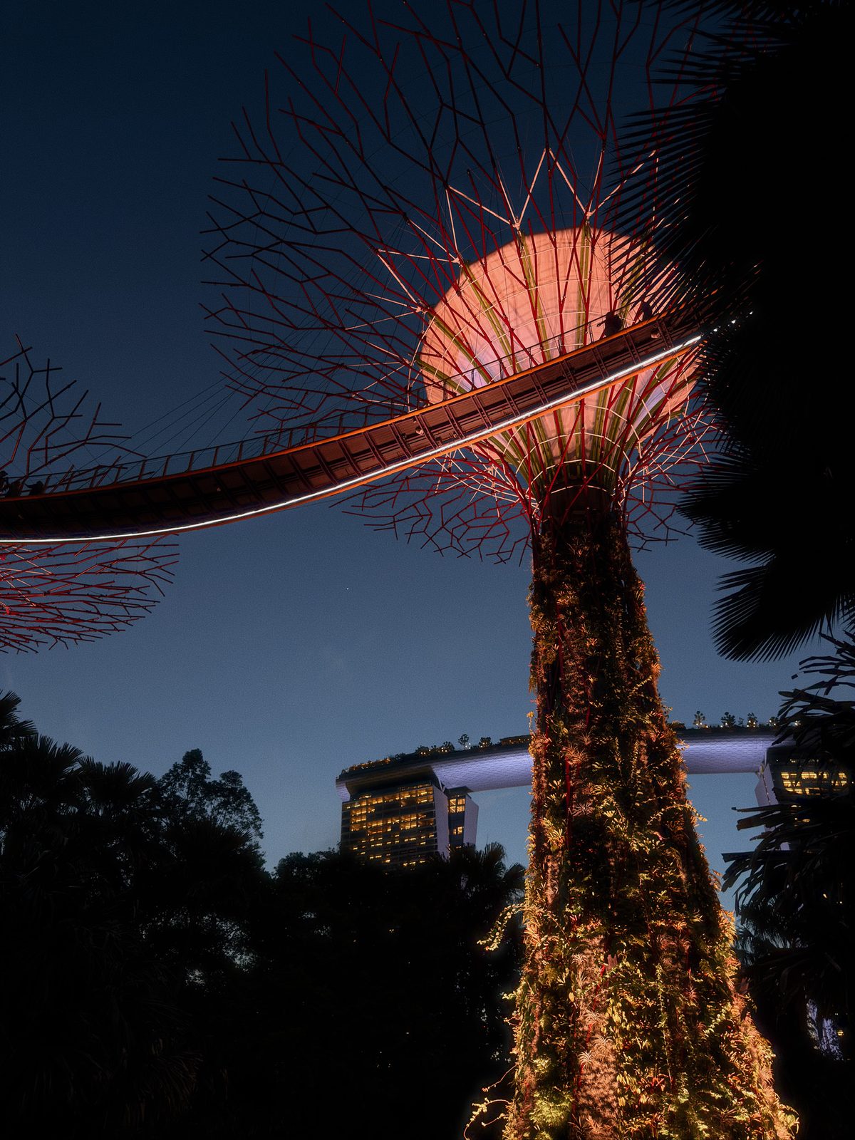 A Supertree at Gardens by the Bay lit at dusk
